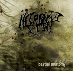 Bestial Anatomy